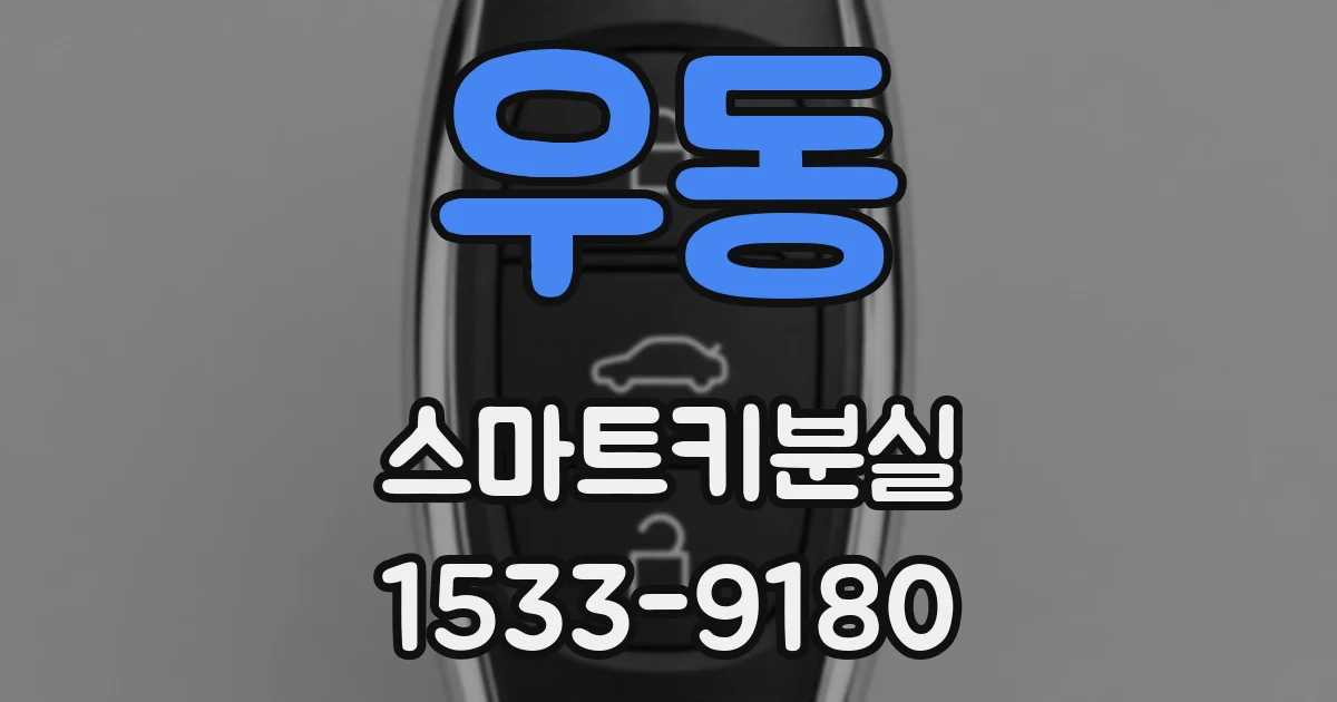 우동 스마트키분실