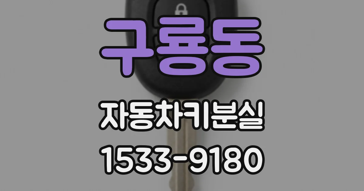 구룡동 자동차키분실