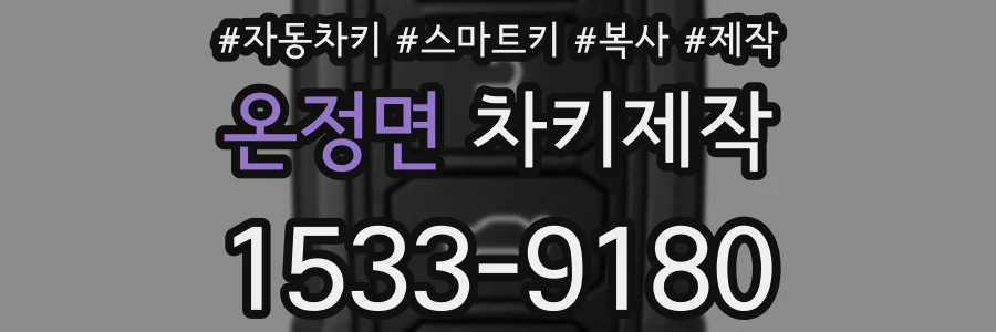 온정면 차키제작