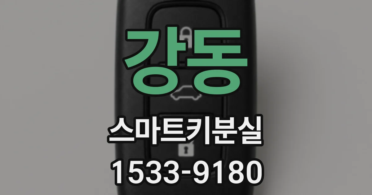 강동 스마트키분실