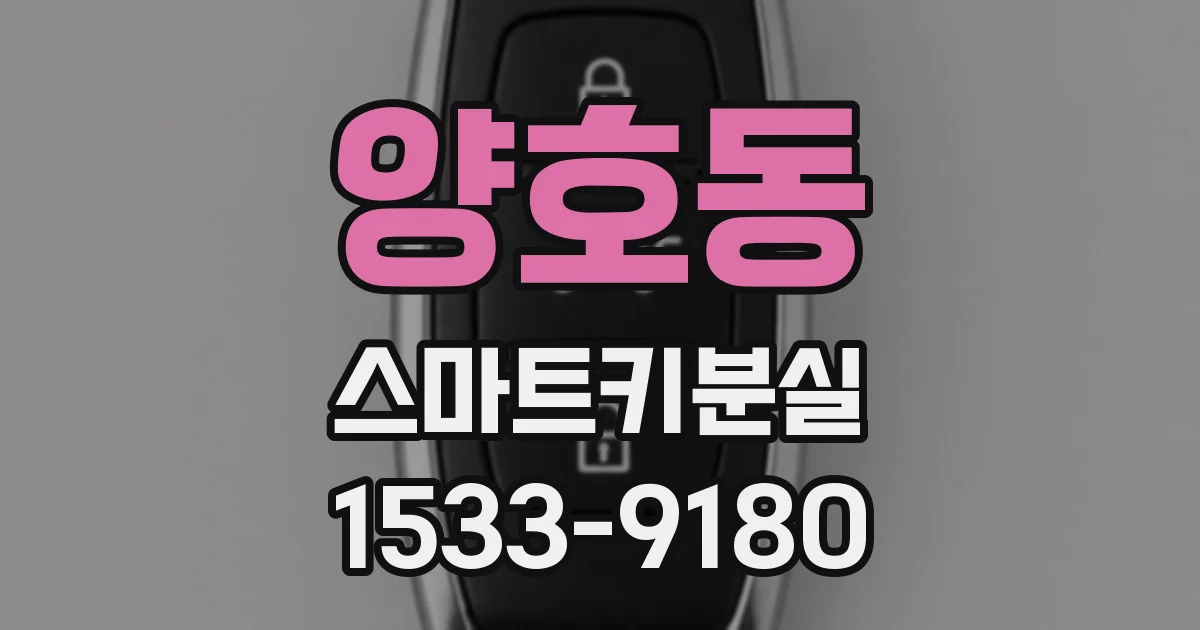 양호동 스마트키분실