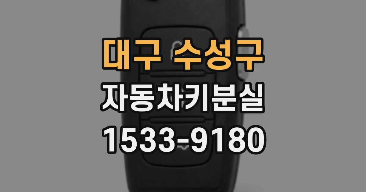 대구 수성구 자동차키분실