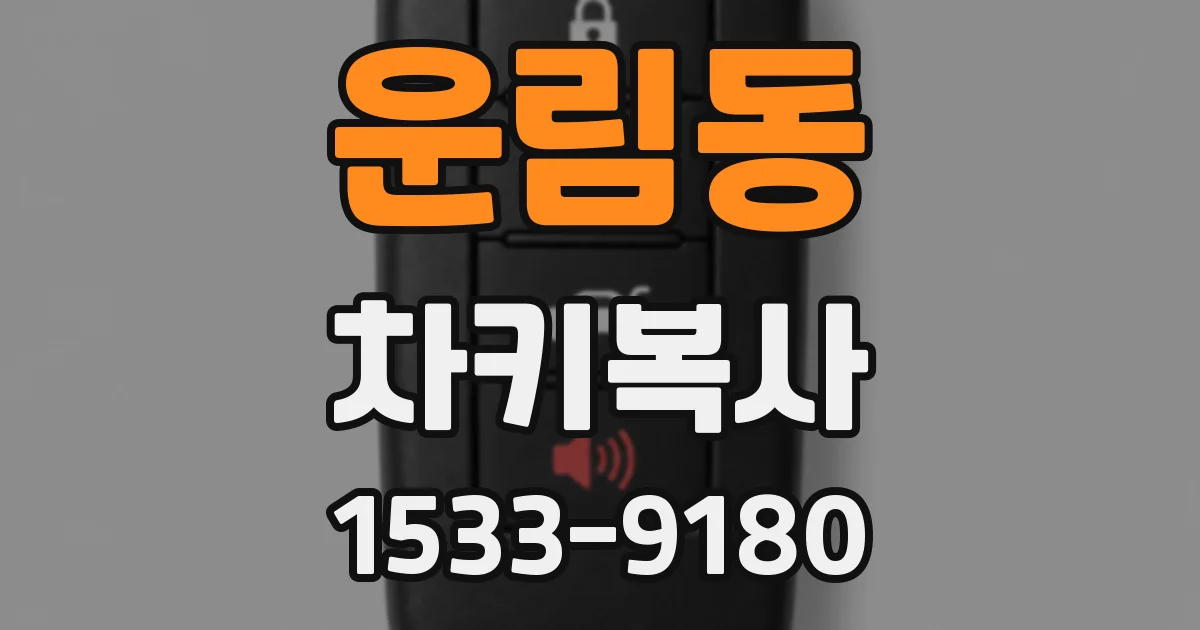 운림동 차키복사