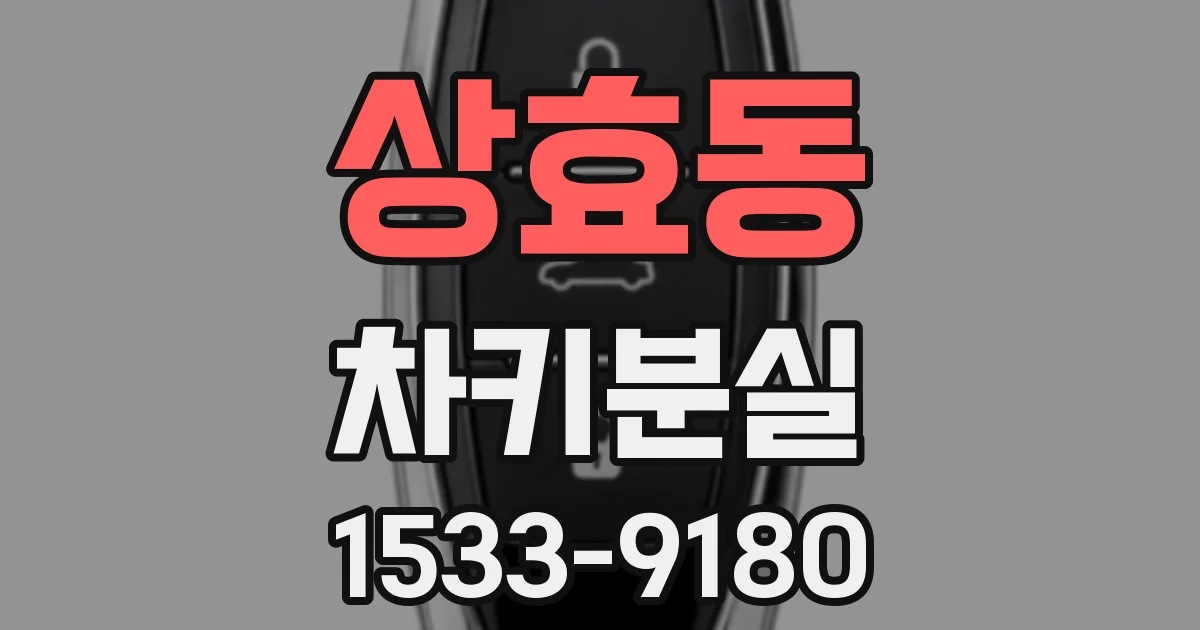 상효동 차키분실