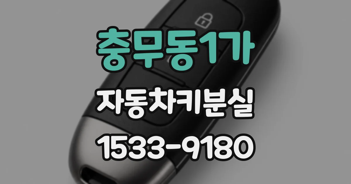충무동1가 자동차키분실