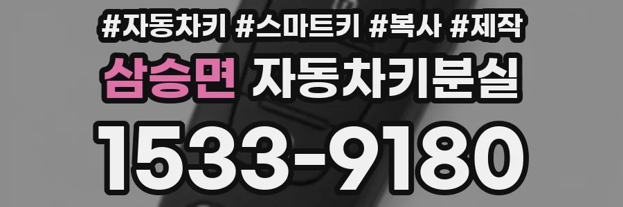 삼승면 자동차키분실