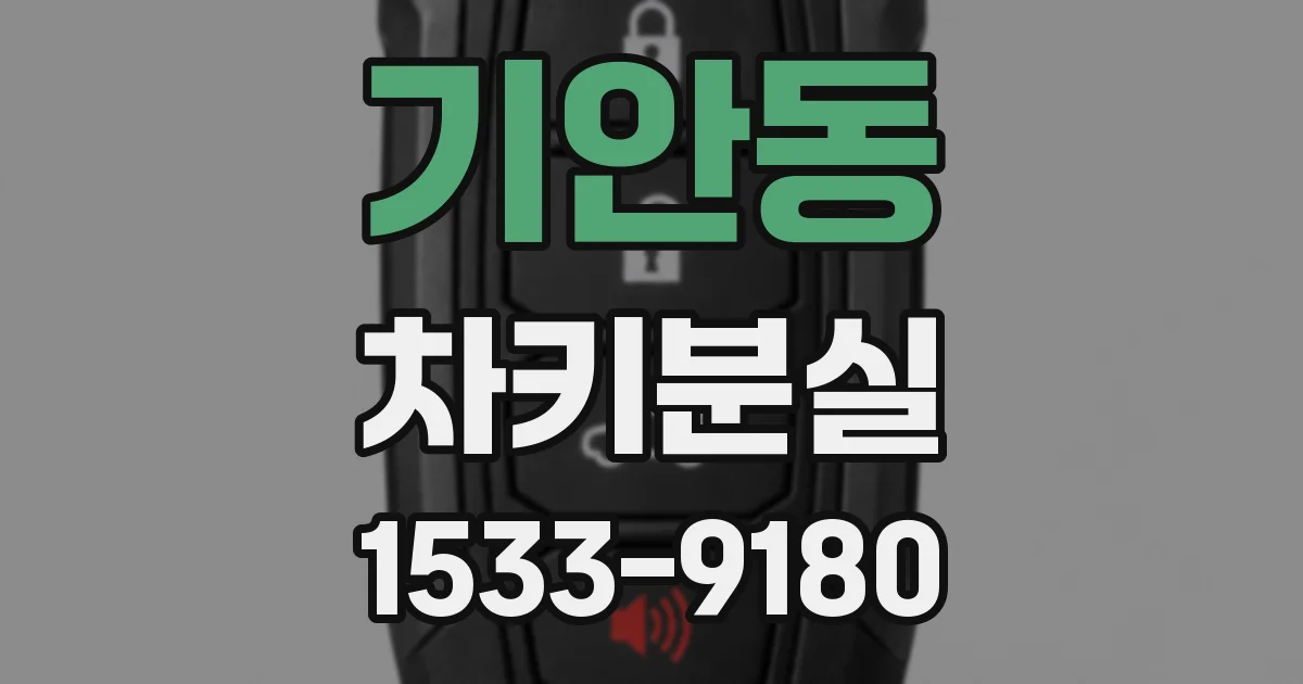 기안동 차키분실