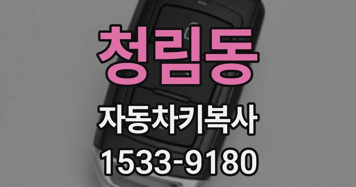 청림동 자동차키복사