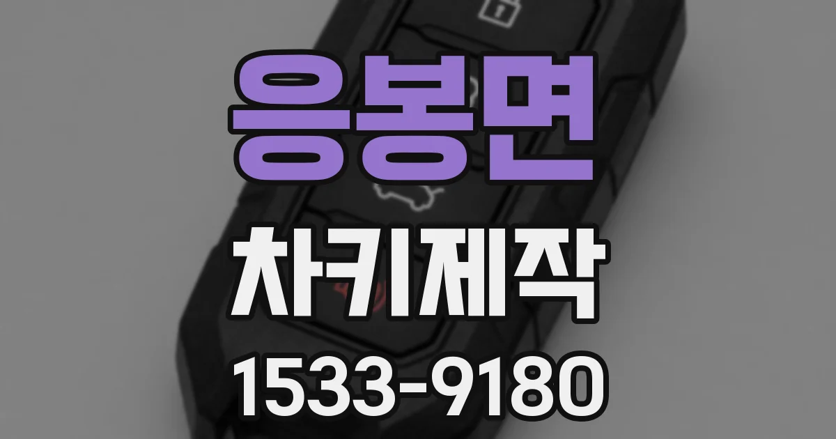 응봉면 차키제작