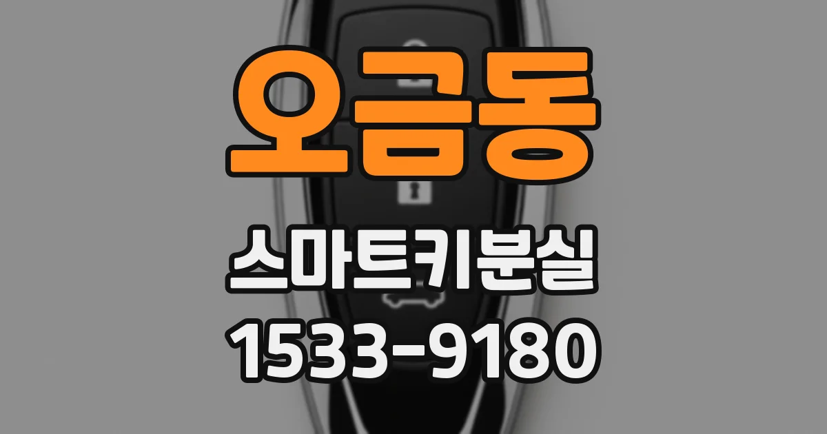 오금동 스마트키분실