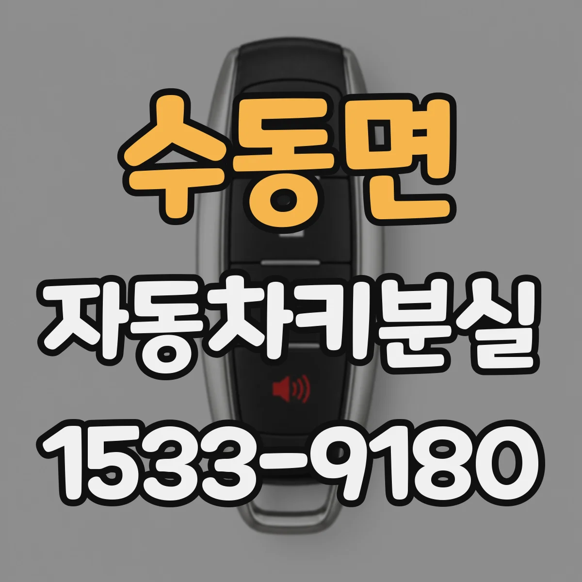 수동면 자동차키분실