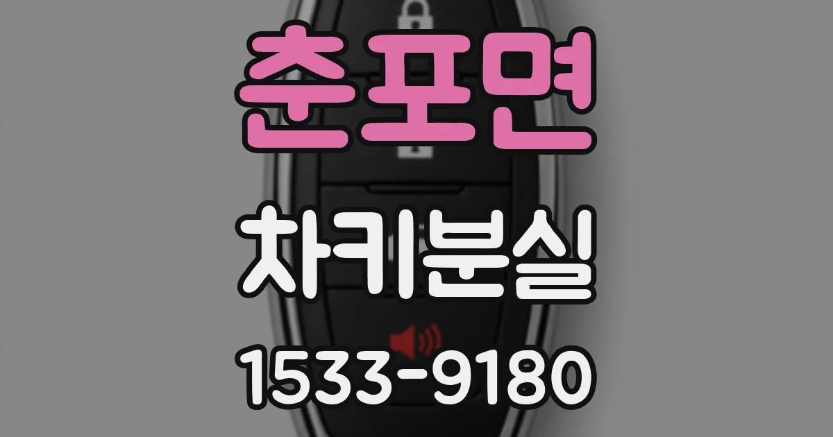 춘포면 차키분실