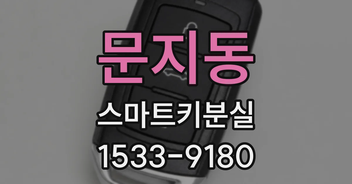 문지동 스마트키분실