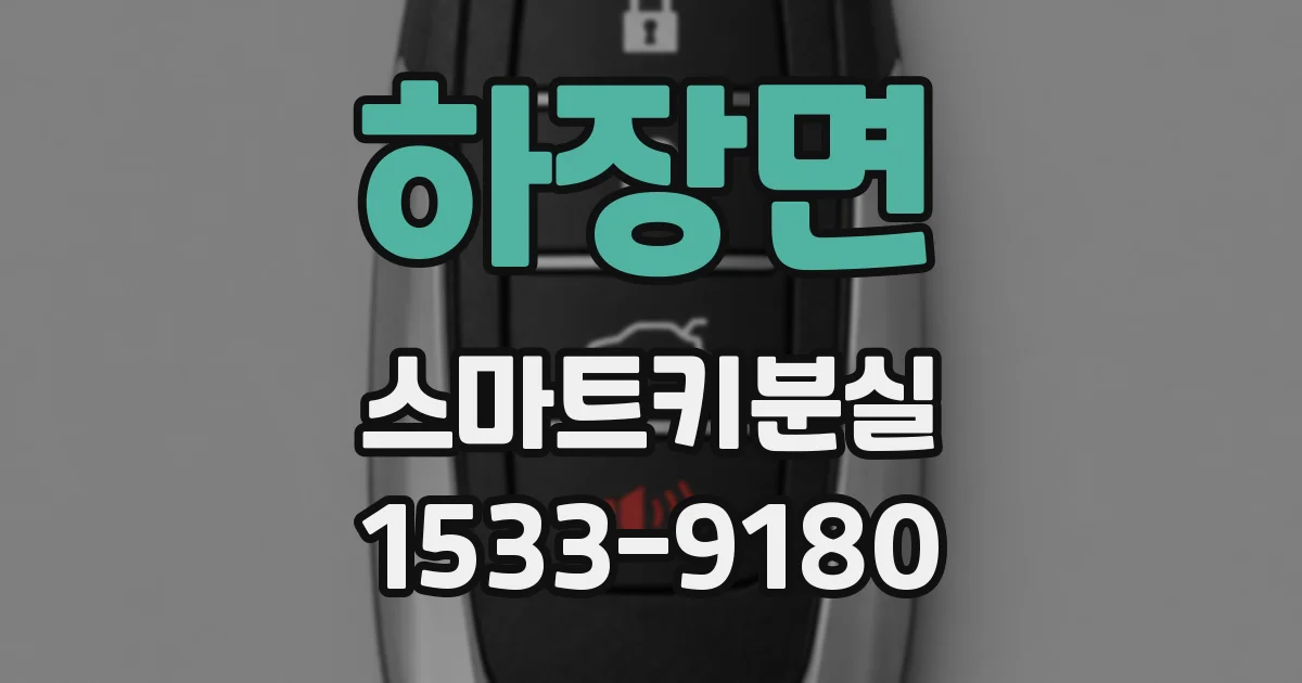 하장면 스마트키분실