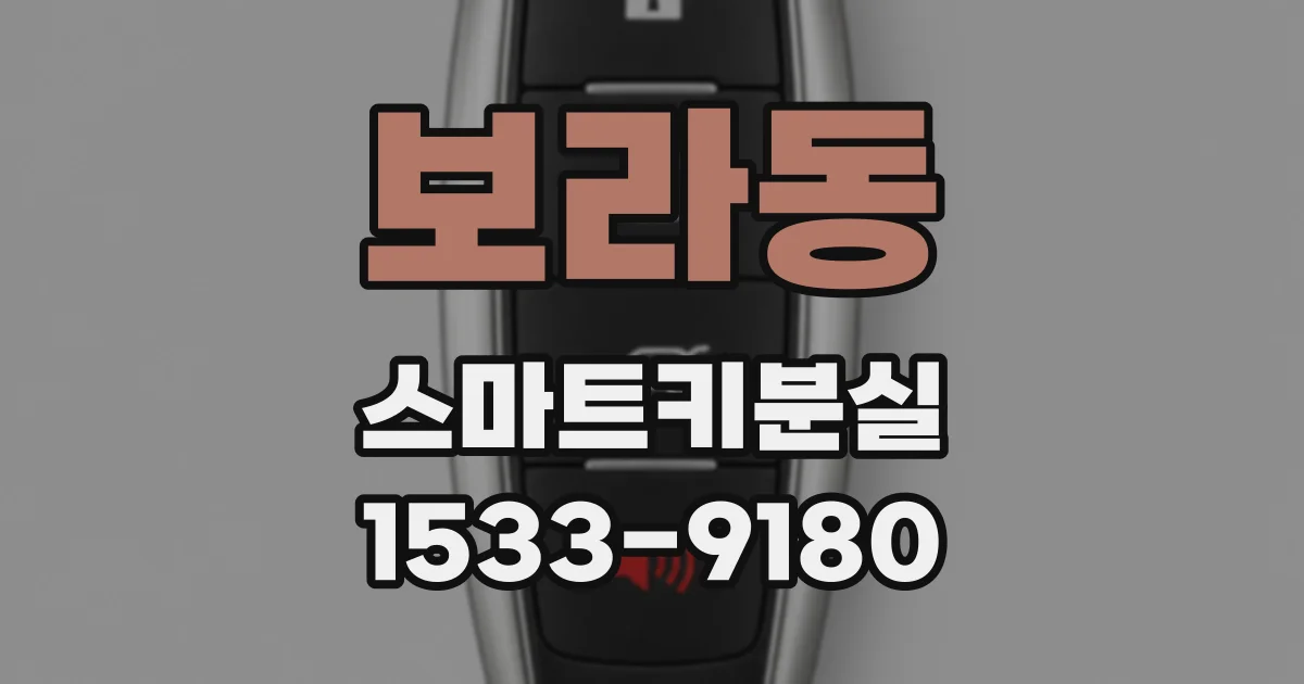 보라동 스마트키분실