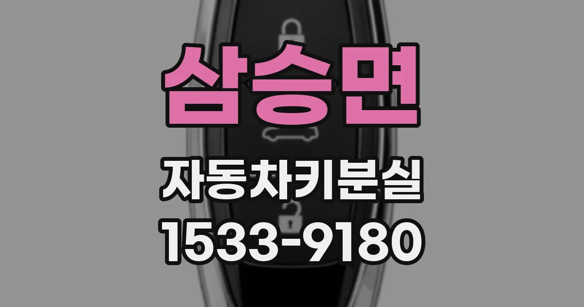 삼승면 자동차키분실
