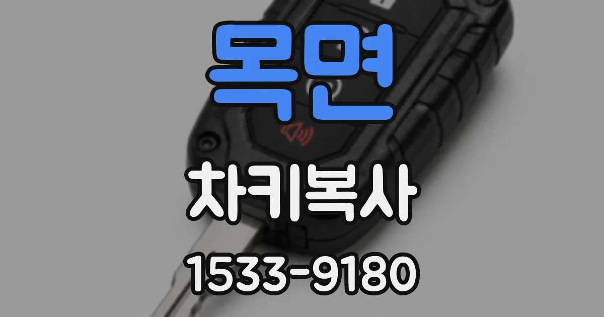 목면 차키복사