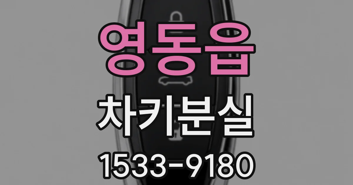 영동읍 차키분실