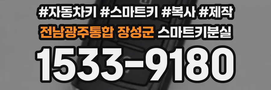 전남광주통합 장성군 스마트키분실