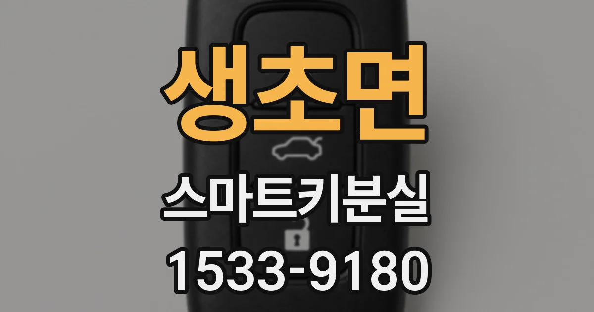 생초면 스마트키분실
