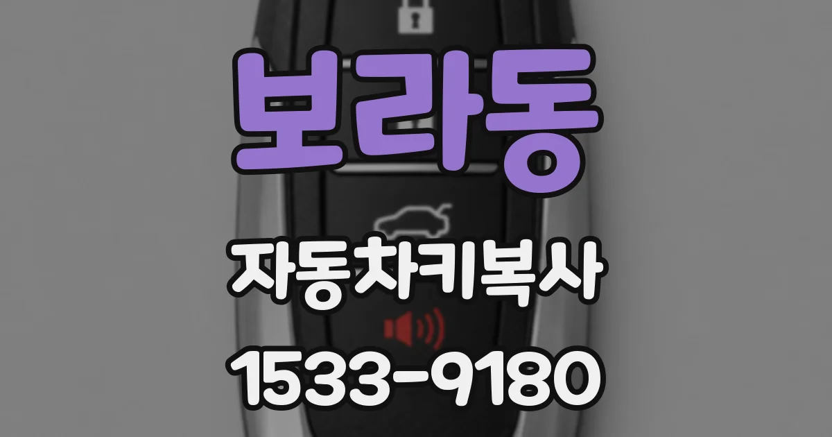 보라동 자동차키복사