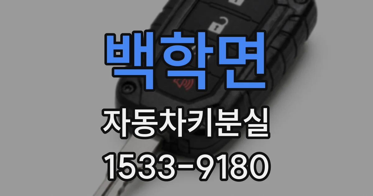 백학면 자동차키분실