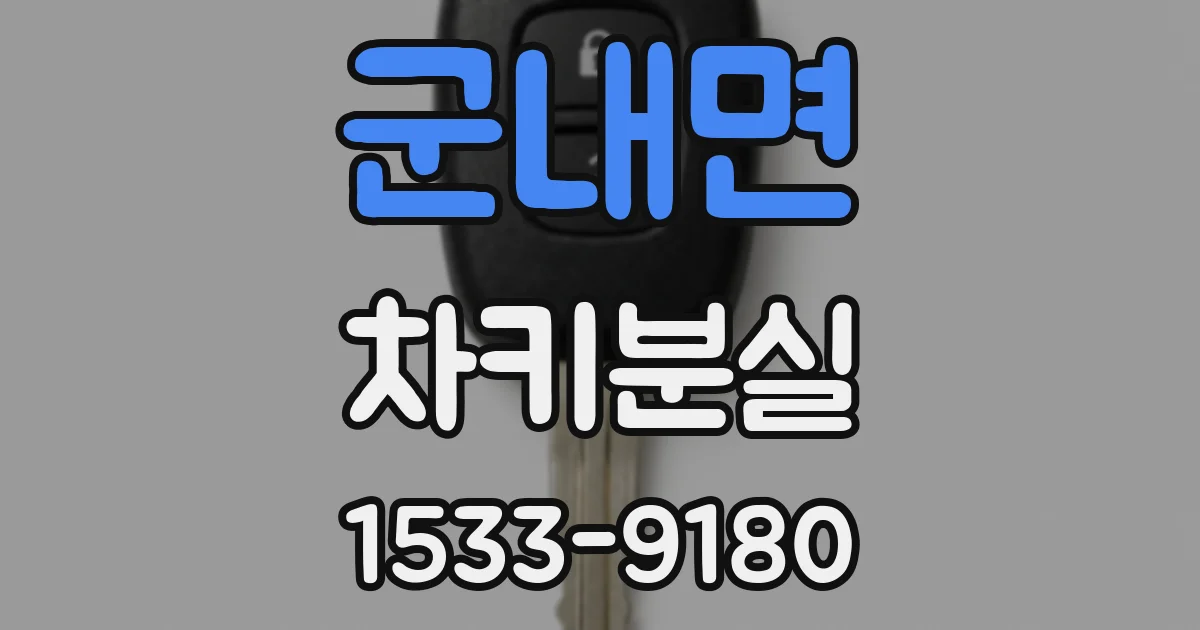 군내면 차키분실