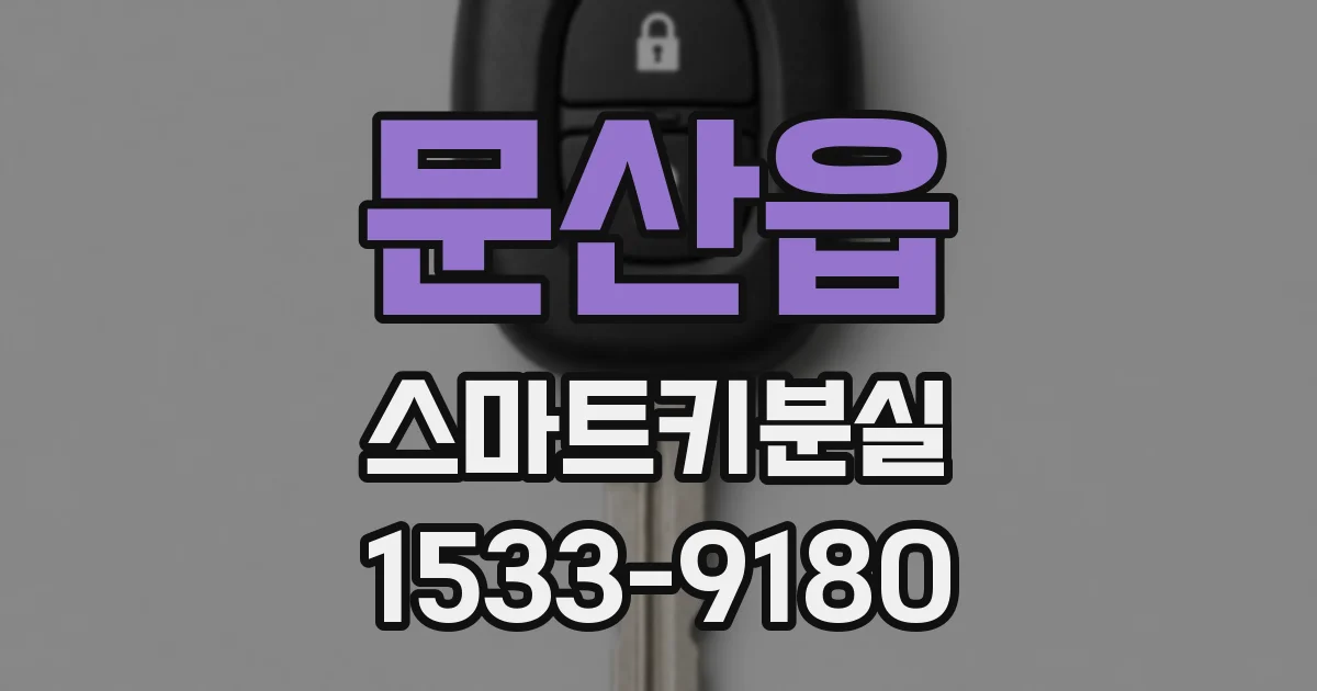 문산읍 스마트키분실