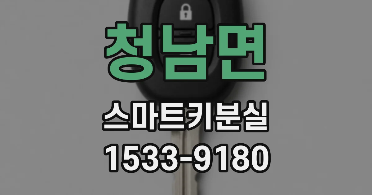 청남면 스마트키분실