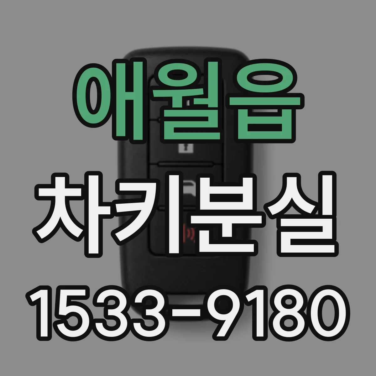 애월읍 차키분실
