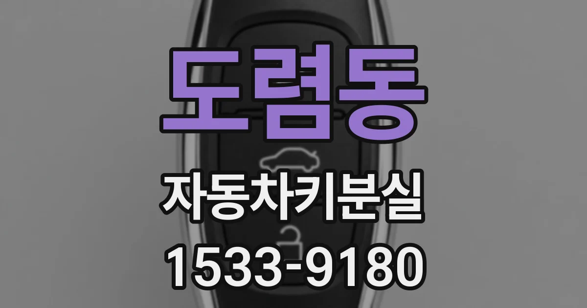 도렴동 자동차키분실