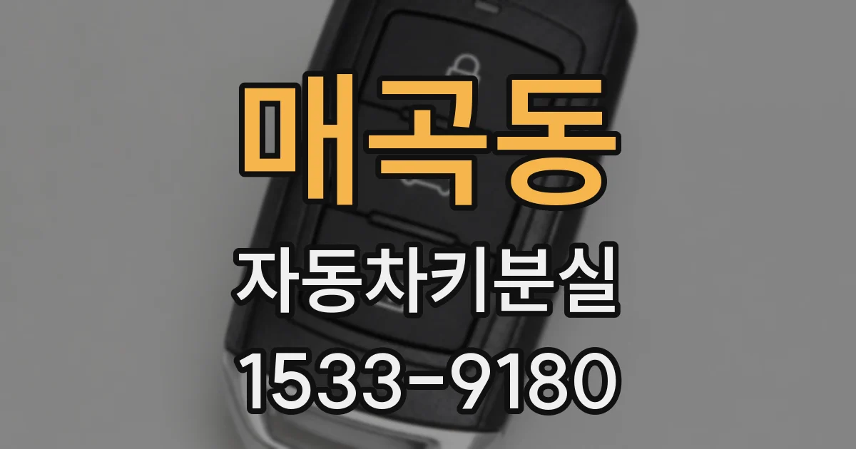 매곡동 자동차키분실