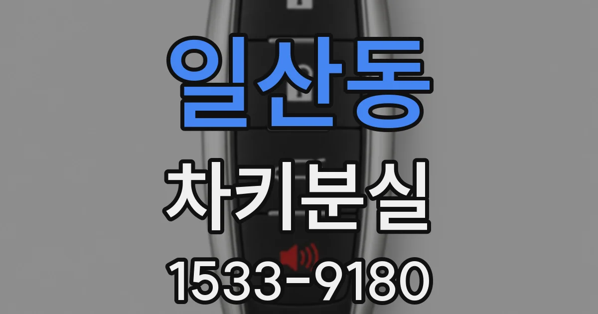일산동 차키분실