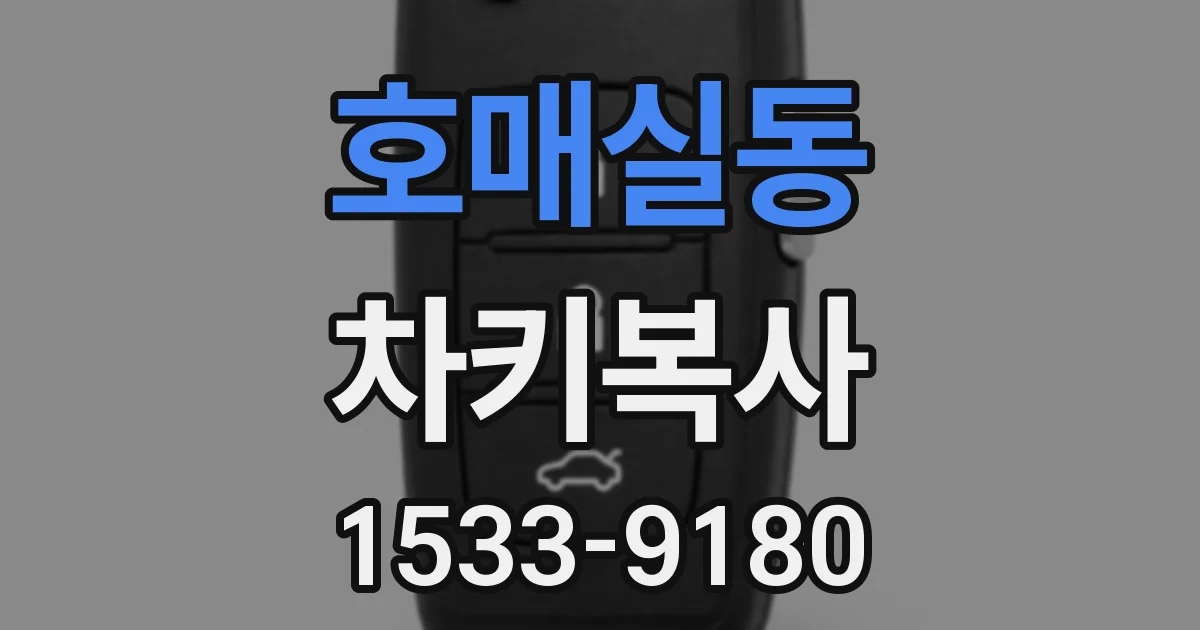 호매실동 차키복사