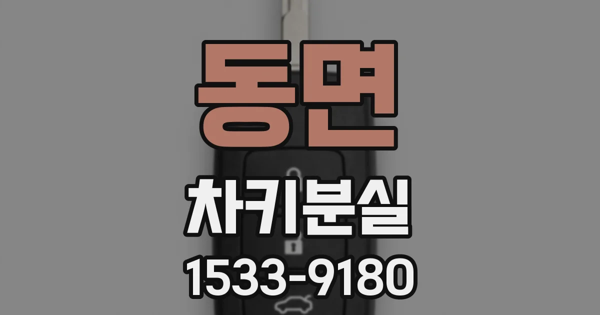 동면 차키분실