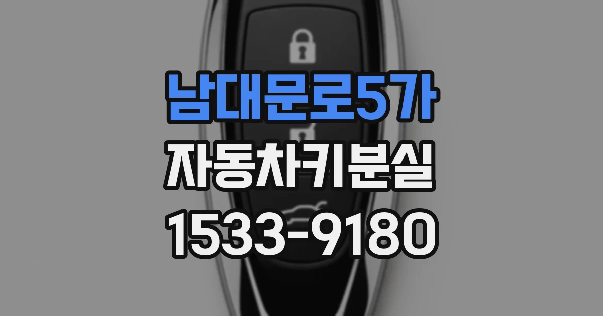 남대문로5가 자동차키분실