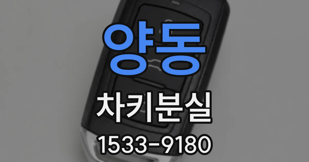 양동 차키분실