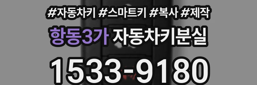 항동3가 자동차키분실