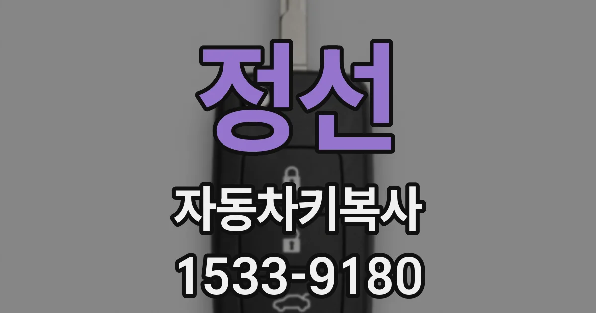정선 자동차키복사