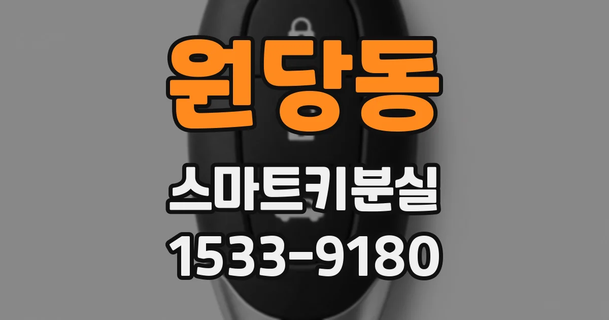 원당동 스마트키분실