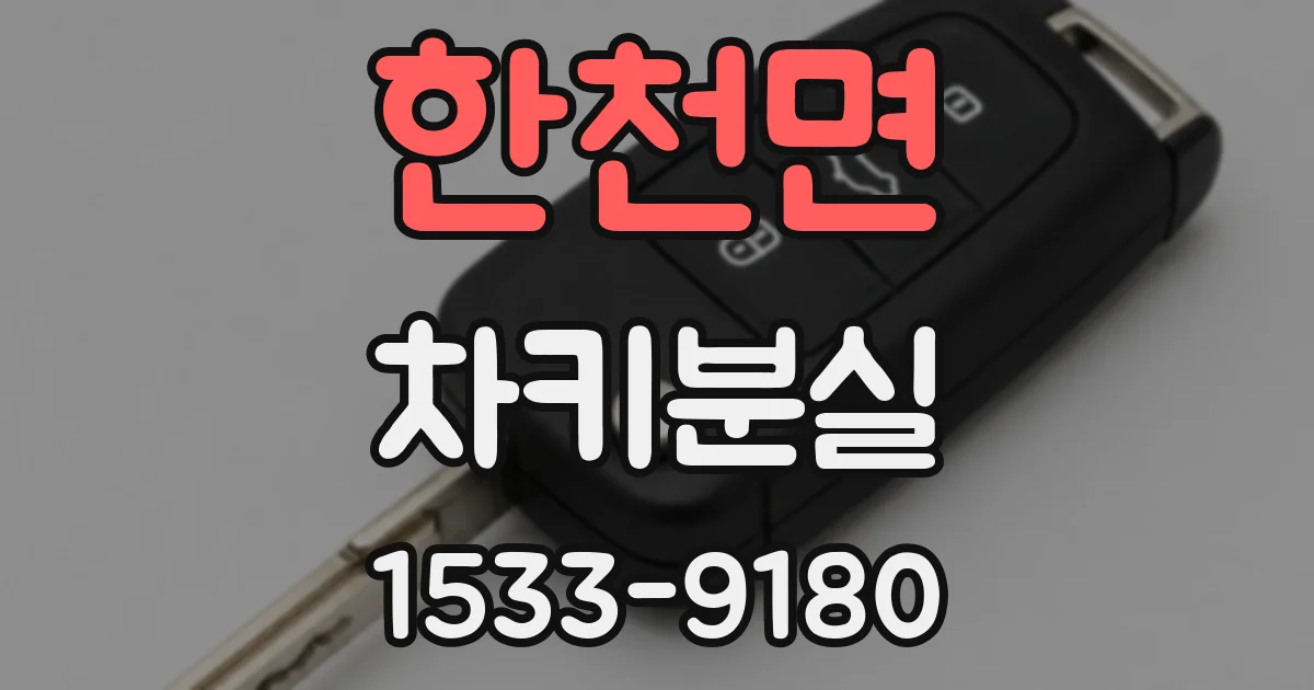 한천면 차키분실