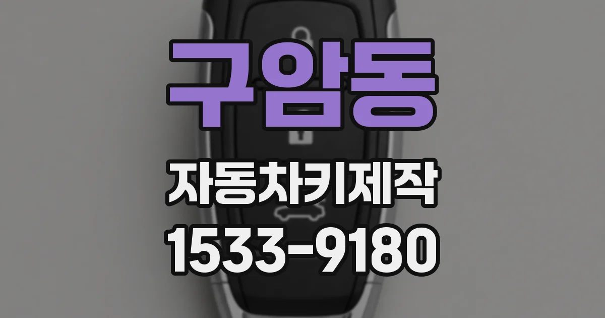 구암동 자동차키제작