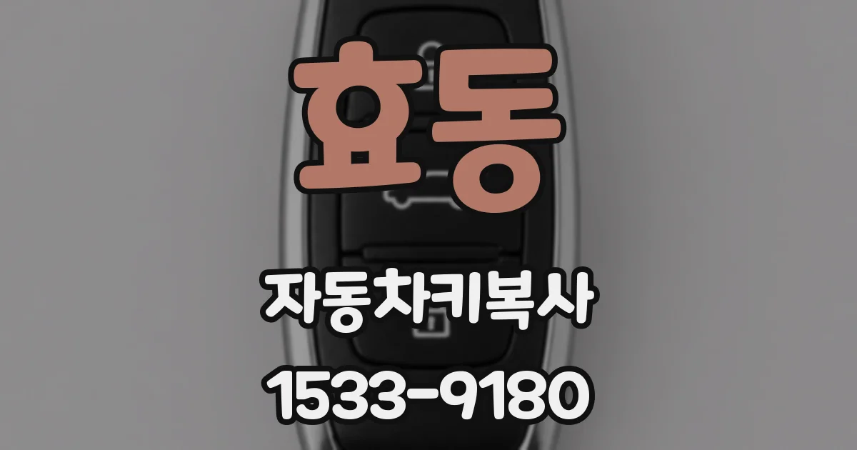효동 자동차키복사