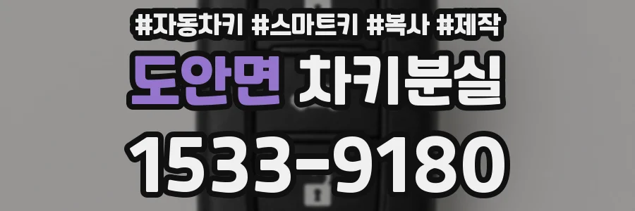 도안면 차키분실