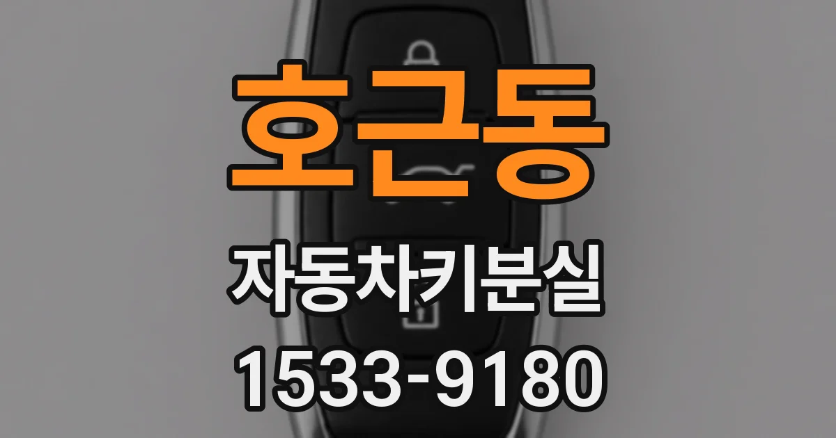 호근동 자동차키분실