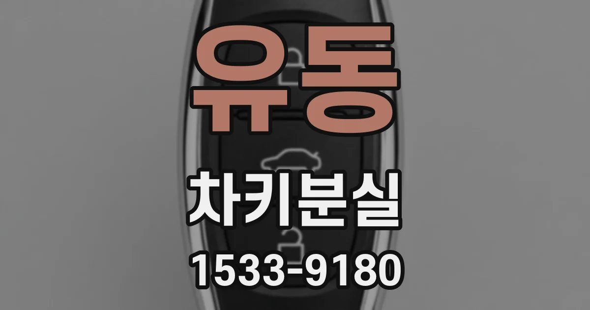 유동 차키분실