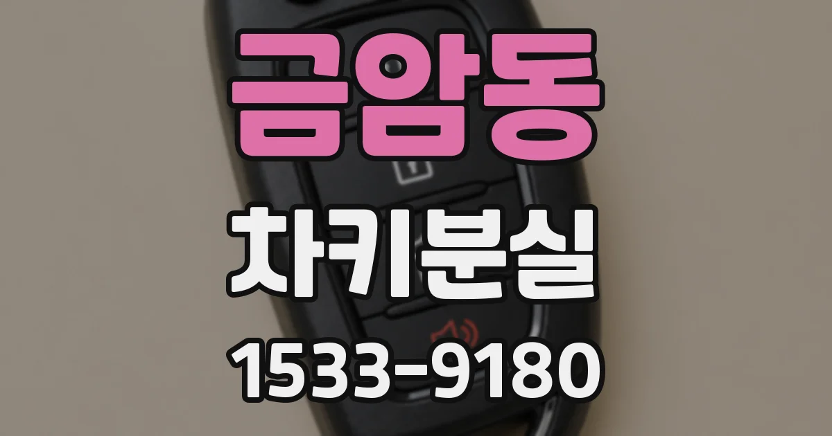 금암동 차키분실