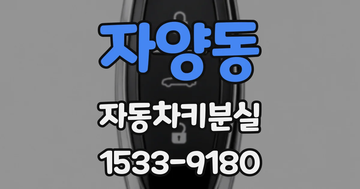 자양동 자동차키분실