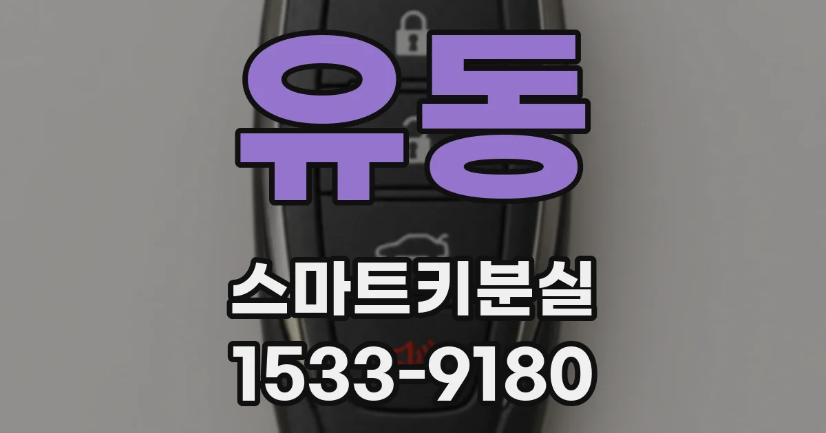 유동 스마트키분실