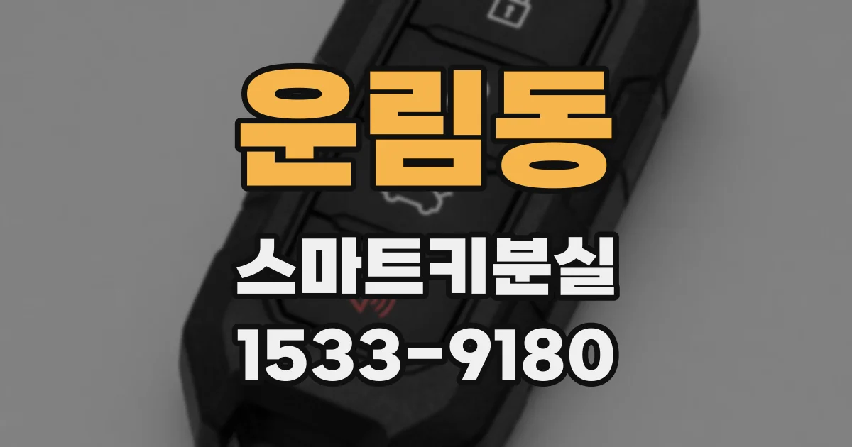 운림동 스마트키분실